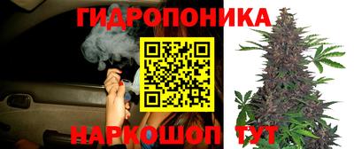 наркотики Кандалакша
